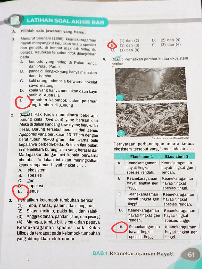 Rahasia Nilai Sempurna Lewat Latihan Soal Biologi Semester 1 Kelas 10 Terbaru Rahasia Nilai Sempurna Lewat Latihan Soal Biologi Semester 1 Kelas 10 Terbaru