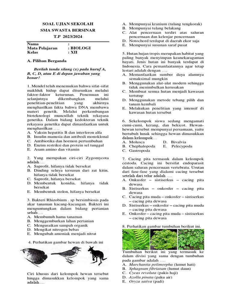 Wajib Tahu! Latihan Soal Biologi Kelas XII Semester 1 dan Pembahasannya Paling Akurat Wajib Tahu! Latihan Soal Biologi Kelas XII Semester 1 dan Pembahasannya Paling Akurat